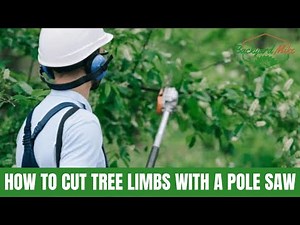 How To Cut Tree Limbs With A Pole Saw