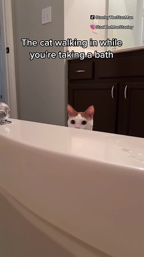 Cat Interrupts Owner During Bath Time