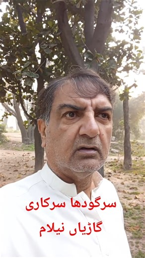 سرگودھا سرکاری گاڑیاں نیلام #carauction