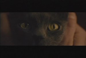 Constantine - Constantine Scene: Cats Are Good