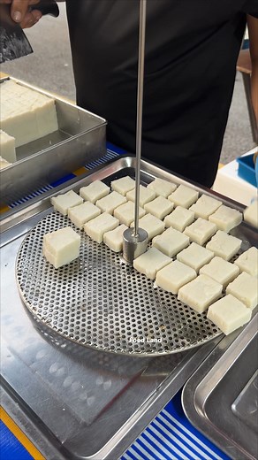 Crispy golden turnip cake, freshly fried! . Shop name: SOARING SONGBIRD 📍Location: SS2 Night Market, Malaysia | Food Land
