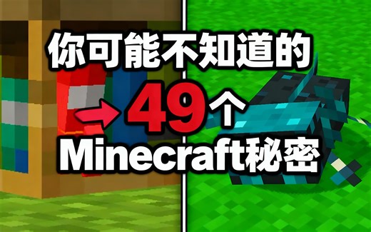 [中配]你可能不知道的49个Minecraft秘密 - Mallow