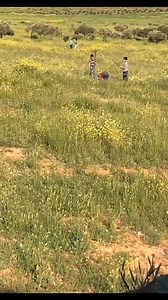 One of the funniest moments on deployment #fyp #deployment #veteranhealing #military #miltok #mindset | Veteran Healing