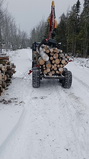 Logging Operation in Snowy Forest with Heavy Machinery