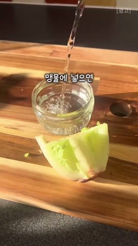 ✅️프로필 바로 아래 링크 클릭하시고 241번 검색하시면 나옵니다 🫶 이제 마트에서 상추 절대 사지마세요! 친구가 알려준 꿀팁인데 맹물에 두면 금방 무르고 썩거든요. 그래서 꼭 비밀재료 한 스푼 넣어줘야 쌩쌩하게 오래 자라요. 농약 걱정도 없고 직접 키우니까 식구들 먹어도 안심이고 식비도 절약되고 너무 좋아요👍 🥬 상추 다시 키우는 방법 1️⃣ 1.5L 페트병 1/30 지점 컷 윗부분 뒤집어 꽂고 뚜껑 구멍 키친타월 심지 2️⃣ 밑동 3~5cm 남기기 아랫부분만 물에 닿게하기 (완던 잠기면 썩어요) 3️⃣ 💧비밀재료(핵심) 물 1L에 2~3 방울만 ➡️ 산소 공급 물 상함 방지 4️⃣ 물 3~5일마다 교체 직사광선 ❌️ 밝은 반양지 5~7일이면 새잎 올라와요🌱 겉잎부터 따면 계속 수확 가능 #상추 #건강 #쿠팡추천템 #추천템 #음식