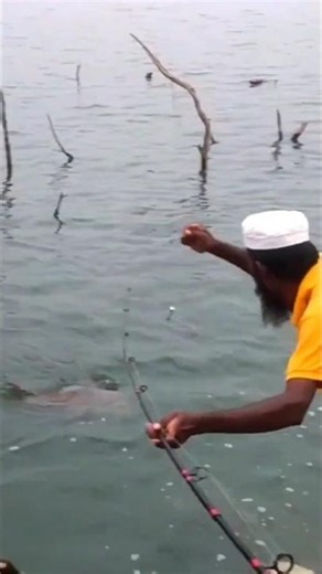 monster fish single hook to catch fisherman #fishing #monsterfish #bigfish #hookfishing