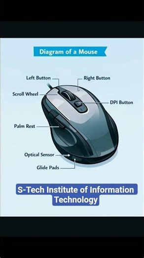 Mouse Introduction and Diagram, Basic knowledge of mouse very important dear student👩‍🎓👩‍🎓