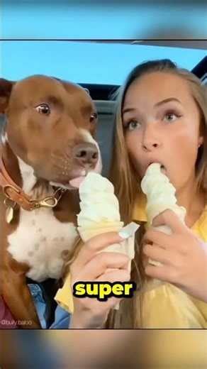 Why McDonald’s Ice Cream Is Always “Broken” #mcdonalds #icecream #broken #food