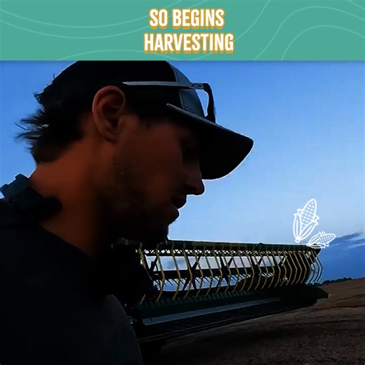 55K views · 2.3K reactions | And So Begins Harvesting! | Larson Farms | Facebook