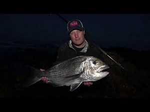 How to catch a mussel cracker - Alikreukel Giant Turban Bait