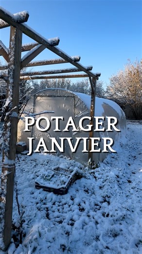 Retour à la Terre | Denis Broyer on Instagram: "🌱 5 choses à faire au potager en janvier Contrairement à ce qu’on croit, le potager ne dort jamais vraiment. Janvier, c’est le moment parfait pour préparer la saison à venir 🌾 👉 Boutures de bois dormant 👉 Semis sous abri (mâche, épinards, salades) 👉 Plantation de l’ail et des oignons en bulbilles 👉 Réflexion sur le plan du potager 👉 Préparation du sol avec matière organique Et toi, qu’est-ce que tu fais déjà en janvier au jardin ? 💬 Dis-le-