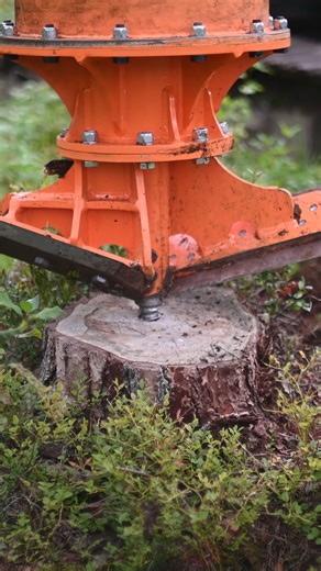 14K views · 160 reactions | Stump grinding done quickly and easily! #stumpremoval #forestry #stumpgrinder #stumpgrinding #landscaping #arborists #treeservice #machinery #operatorlife #treeprofessionals #forestryequipment #excavatorskills | Dipperfox | Facebook
