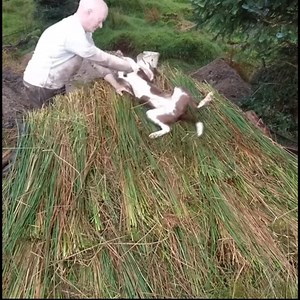 70K views · 721 reactions | Build a Wood house with unique design | The Art of Film | Facebook