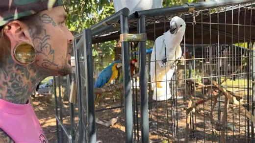 A walk through Ryders Ranch reveals birds rarely seen this close