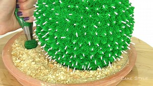 1.1M views · 12K reactions | Cute little cactus cake. He might be a...