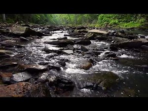 RELAXING NATURE VIDEO 10 HOUR 4K