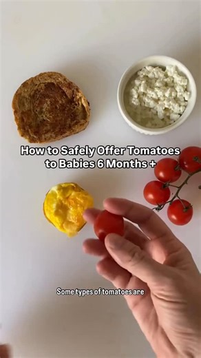 Solid Starts on Instagram: "Tomatoes come in a variety of sizes but how you serve them matters. 🍅 For complete details on how to serve any food to babies, download the Solid Starts App! 🤍"