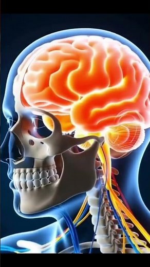 #CerebralPalsy #NeuroHealth #3DMedical #BodyInside #MuscleControl