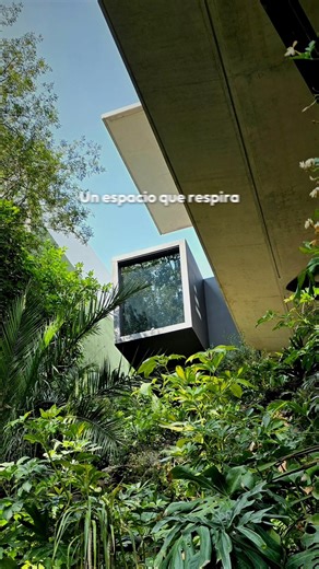 🏡✨ Casa Itambe, ubicada en una cañada arbolada de la CDMX, obtuvo el tercer lugar en la categoría Vivienda Unifamiliar en el Premio Obras Cemex. Un proyecto que se distingue por su diseño innovador, integración con la naturaleza y el uso del concreto como protagonista. 👉 Conoce más sobre otros proyectos: cemexmexico.com #Cemex | Cemex México