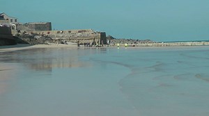9.1K views · 70 reactions | A valiant attempt to save a sick or injured harbour porpoise grounded between Smeaton's and New piers. With blood coming from its blowhole the outlook was never very hopeful. It was taken away to a vet, where unfortunately it was put to sleep - details in my comment below. | St Ives Videos | Facebook