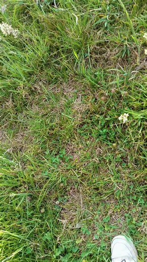 ##CapCut ##factory ##motos ##j10