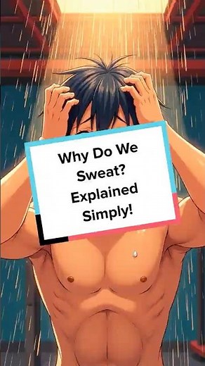 Why Do We Sweat? Explained Simply!