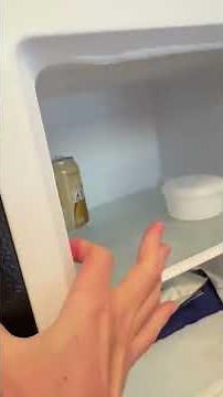 Introduction to the Best Mini Freezer