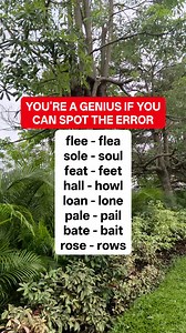 English Activity #717 #HOMOPHONES #englishhomophones #EnglishVocabulary #VocabularyWords | Sir Toper