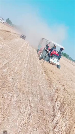 Lovepreet Lovepreet on TikTok