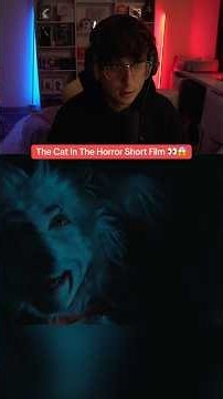 Cat In The Hat Horror Movie Looks Terrifying 👀😱