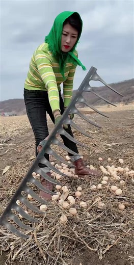 Incredible Farming Techniques That Inspire