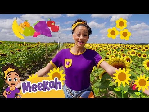 Meekah Explores A Fruit and Sunflower Farm! | Blippi and Meekah | Educational Videos for Kids