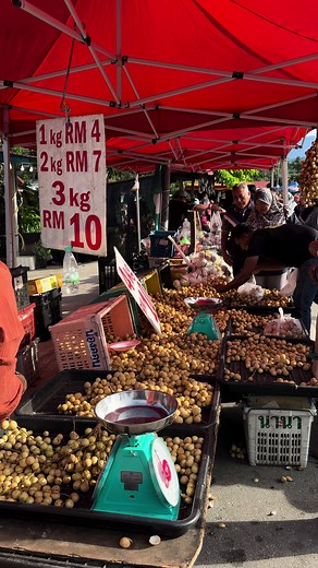 amir fruit on TikTok