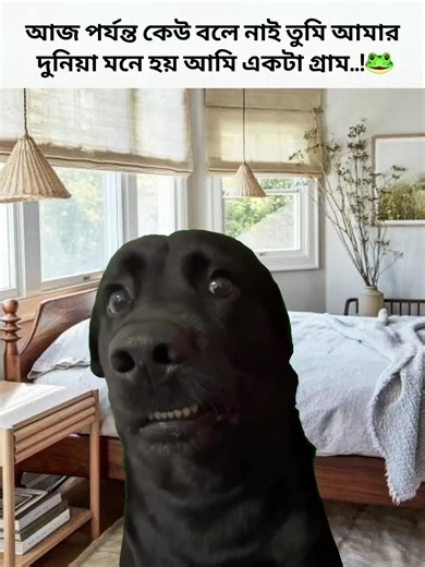 মনে হয় আমি একটা গ্রাম! হাসির ভিডিও দেখুন