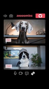 80 reactions | Today’s BIG story: GoodCharlie is the best electricity provider to bundle great plans with free Pet Perks, like 24/7 virtual vet care. | GoodCharlie | Facebook