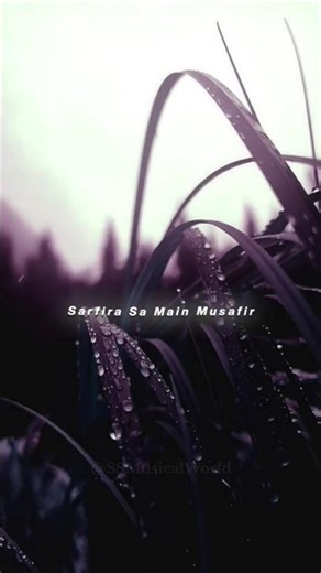 ✨ Dil Mein Ho Tum | Armaan Malik | Most Romantic Bollywood Love Song 💖 #Shorts