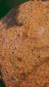 5.5K views · 16 reactions | 9562898983 90727 70101 9562116655...