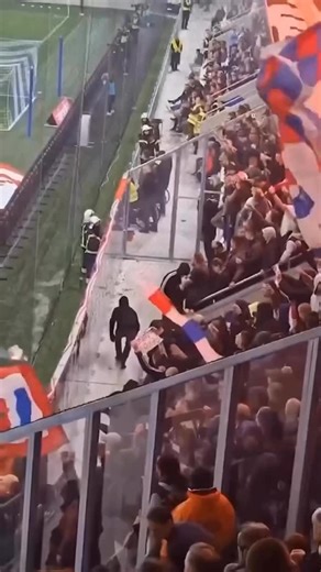 𝕿𝖍𝖊 𝕳𝖔𝖔𝖑𝖎𝖌𝖆𝖓 𝕾𝖈𝖊𝖓𝖊 on Instagram: "It’s always a party with awaydays! #ultras #hooligans #football #ultrasworld #casual #acab #awaydays #nopyronoparty #casuals #pyro #tifo #ultrasmentality #fans #casualstyle #ultraslife #stoneisland #ultrastifo #soccer #liga #ultrasliberi #hooligan #calcio #tifosi #againstmodernfootball #cpcompany #hools #ultrasstyle #ultrastyle #ultra"