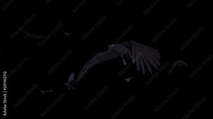 Black crows flying in flock over screen. Realistic 3D Full HD animation loop. Royaltyf free stock footage related to nature, forest, city, countryside, animals. birds, mystic, horror, magic, dream.