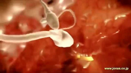 胚胎发育过程，3D演示，感叹生命的奥妙与神奇_高清1080P在线观看平台_腾讯视频