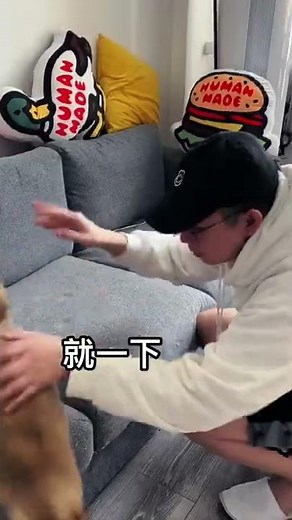【PuPu噗噗】揭秘网红听话猫咪背后的故事