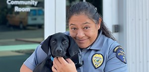 Jefferson County Pet Licensing Locations - Foothills Animal Shelter