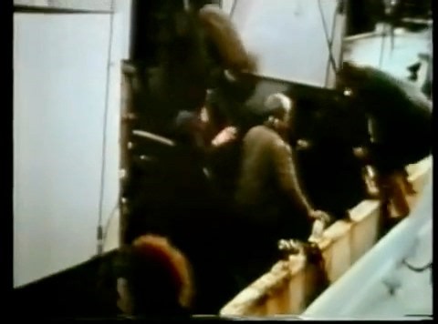 26K views · 652 reactions | ️ 핋ℍ핌ℝ핊픻픸핐 핋ℍℝ핆핎픹픸ℂ핂 ️ 헠헜 헔헠헜헚헢...