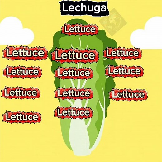 Lettuce= lechuga en inglés