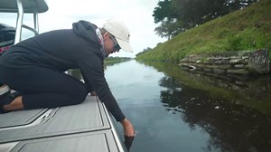 5.6K views · 354 reactions | Lewmar Axis Shallow Water Anchor ...