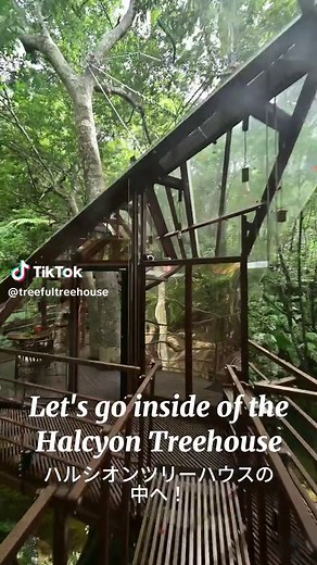 TikTokでTreeful Treehouse Resortさんをチェック！
