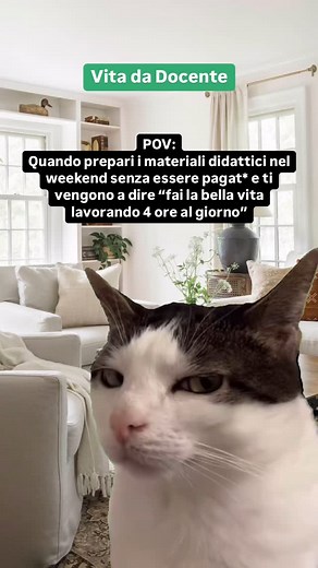 Freeed 🇮🇹 | Meglio non dire niente, perché se diciamo qualcosa.. 😒 • #freeed #freeeducation #scuola #scuolaprimaria #docenti #communitymaestri #maestro... | Instagram