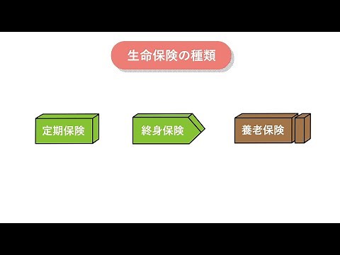 ニッセイみらいのカタチ 保険のカタチ 商品説明動画