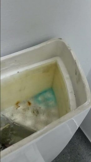 Correct fill tube installation on toilet tank fill valves.