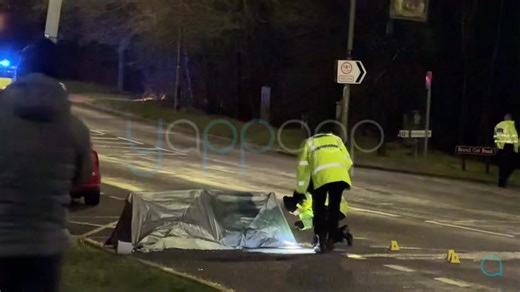 46K views · 272 reactions | HOMICIDE detectives have launched a probe...